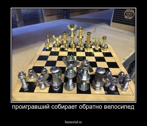 проигравший собирает обратно велосипед