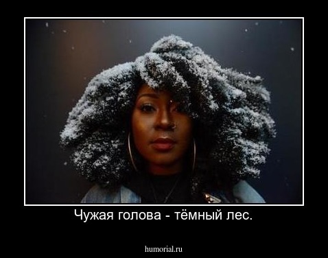 Чужая голова - тёмный лес.