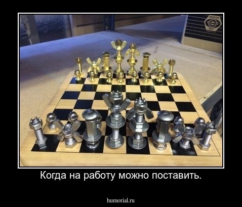 Когда на работу можно поставить.