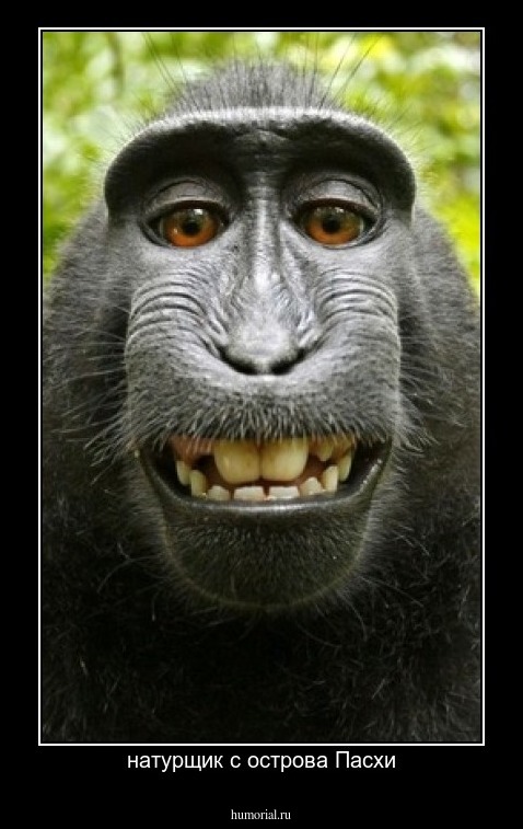 натурщик с острова Пасхи