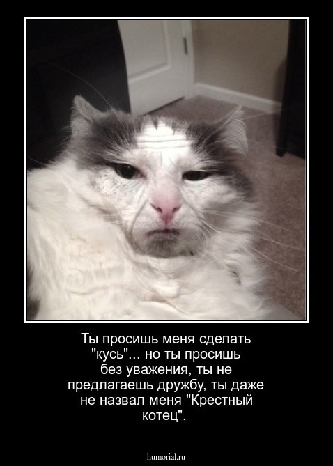 Ты просишь меня сделать "кусь"... но ты просишь без уважения, ты не предлагаешь дружбу, ты даже не назвал меня "Крестный котец".