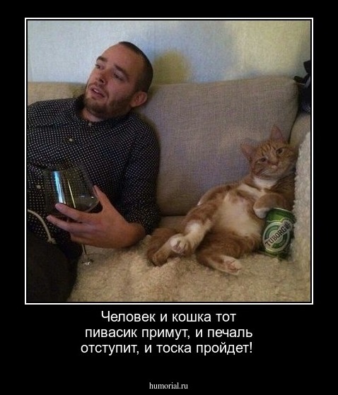 Человек и кошка тот пивасик примут, и печаль отступит, и тоска пройдет!