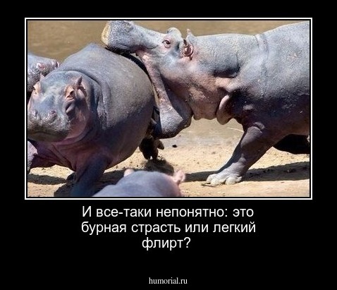 И все-таки непонятно: это бурная страсть или легкий флирт?