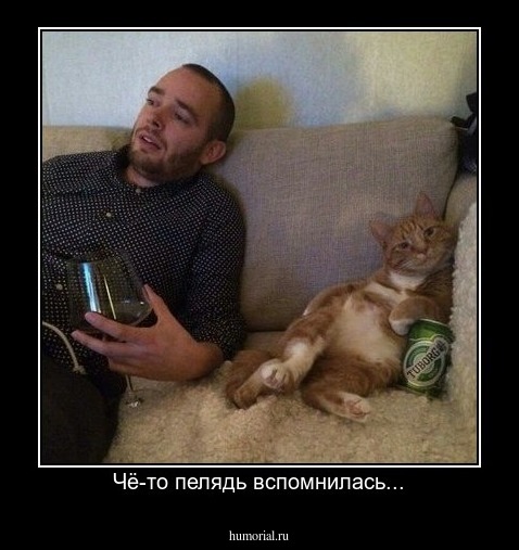 Чё-то пелядь вспомнилась...