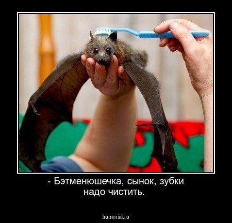 - Бэтменюшечка, сынок, зубки надо чистить.