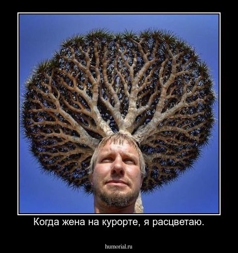 Когда жена на курорте, я расцветаю.