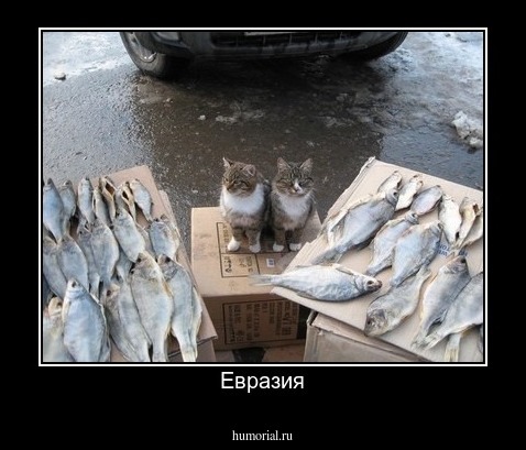 Евразия