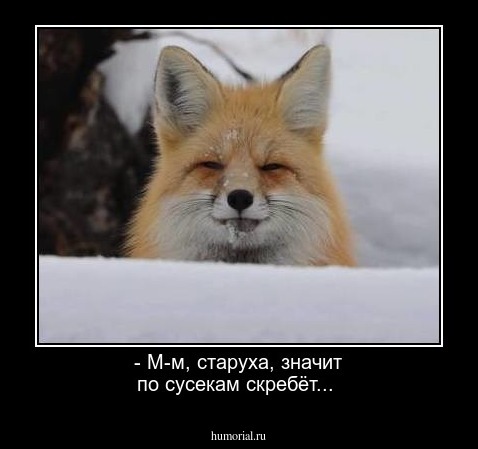- М-м, старуха, значит по сусекам скребёт...