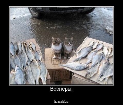 Воблеры.