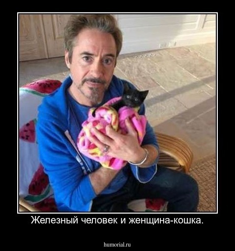 Железный человек и женщина-кошка.