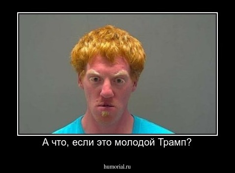 А что, если это молодой Трамп?