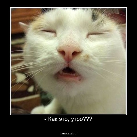 - Как это, утро???