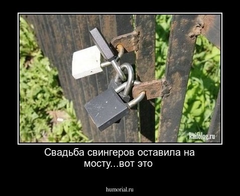 Свадьба свингеров оставила на мосту...вот это