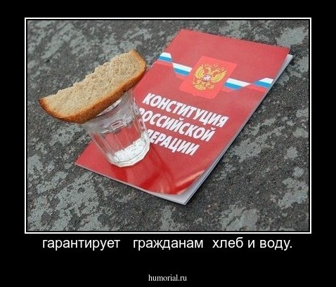 гарантирует   гражданам  хлеб и воду.