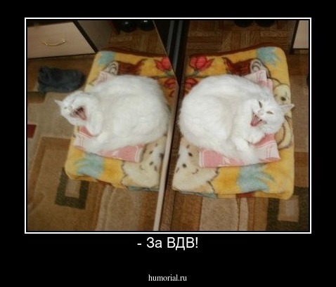 - За ВДВ!