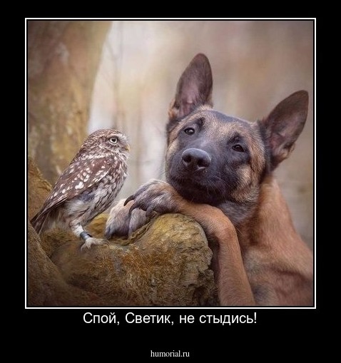 Спой, Светик, не стыдись!