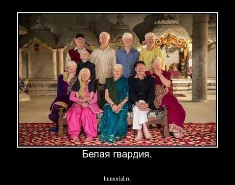 Белая гвардия.