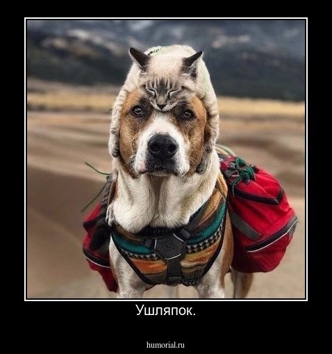 Ушляпок.