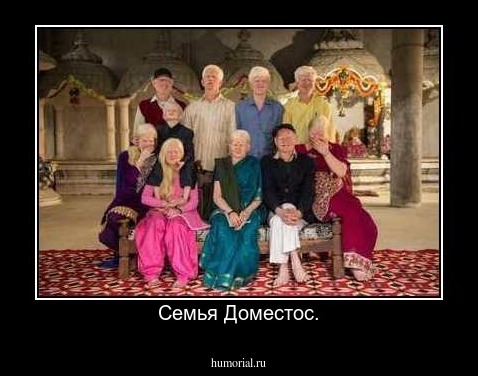 Семья Доместос.