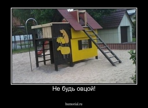 Не будь овцой!