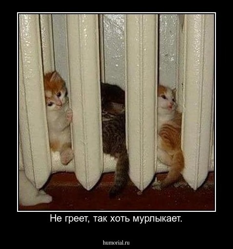 Не греет, так хоть мурлыкает.