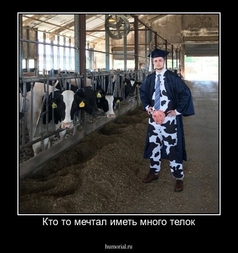 Кто то мечтал иметь много телок