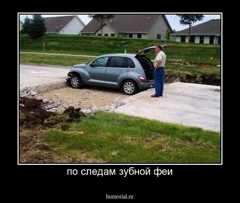по следам зубной феи