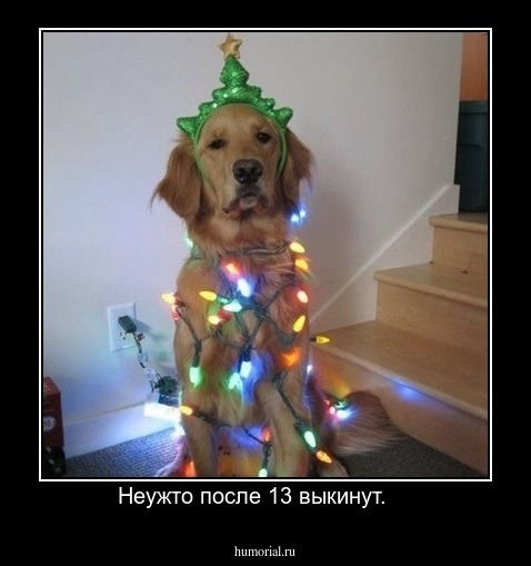 Неужто после 13 выкинут.    