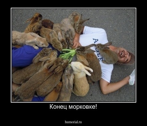 Конец морковке!