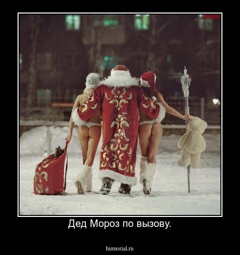 Дед Мороз по вызову.