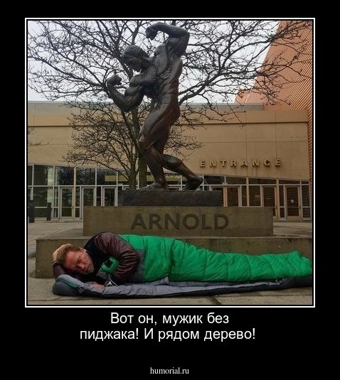 Вот он, мужик без пиджака! И рядом дерево!
