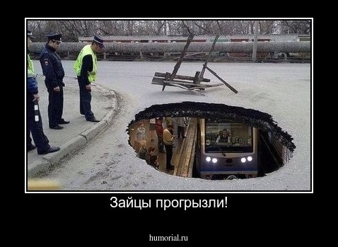 Зайцы прогрызли!
