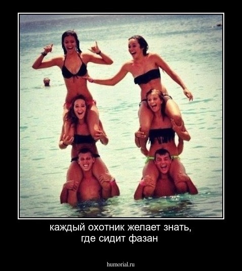 каждый охотник желает знать, где сидит фазан