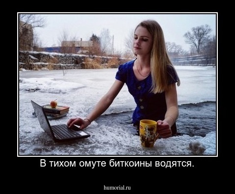 В тихом омуте биткоины водятся.