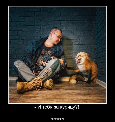 - И тебя за курицу?! 