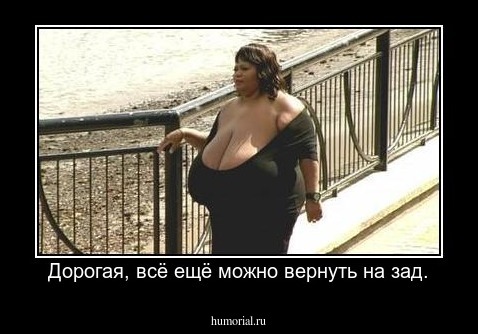 Дорогая, всё ещё можно вернуть на зад.