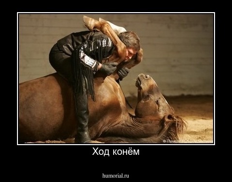Ход конём