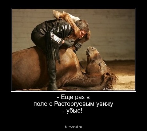 - Еще раз в поле с Расторгуевым увижу - убью!