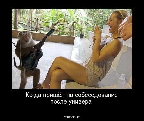 Когда пришёл на собеседование после универа 