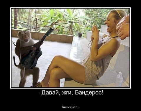 - Давай, жги, Бандерос!