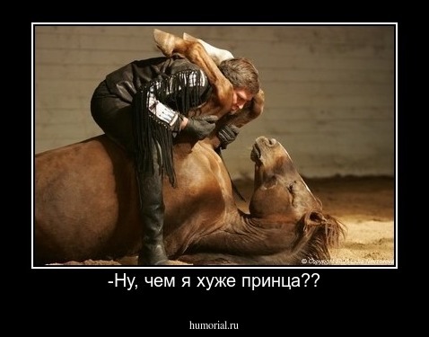 -Ну, чем я хуже принца??