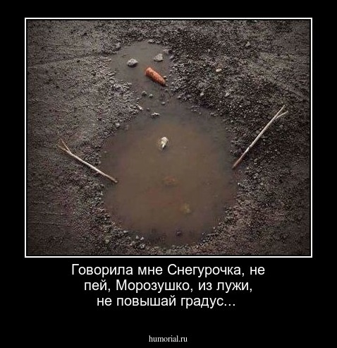 Говорила мне Снегурочка, не пей, Морозушко, из лужи, не повышай градус...