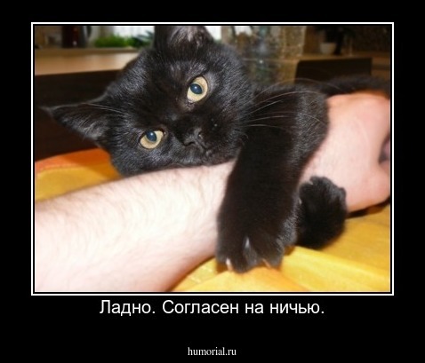 Ладно. Согласен на ничью.
