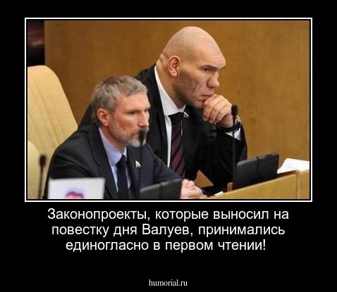 Законопроекты, которые выносил на повестку дня Валуев, принимались единогласно в первом чтении!