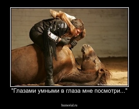 "Глазами умными в глаза мне посмотри..."