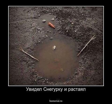 Увидел Снегурку и растаял