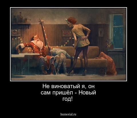 Не виноватый я, он сам пришёл - Новый год!
