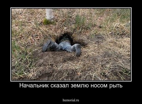 Начальник сказал землю носом рыть