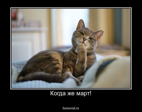 Когда же март!