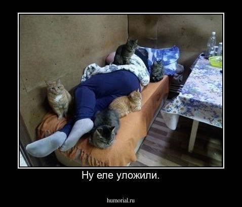 Ну еле уложили.